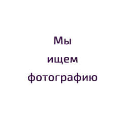 Ремонт садовой техники