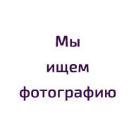 Ремонт электро и бензо инструментов